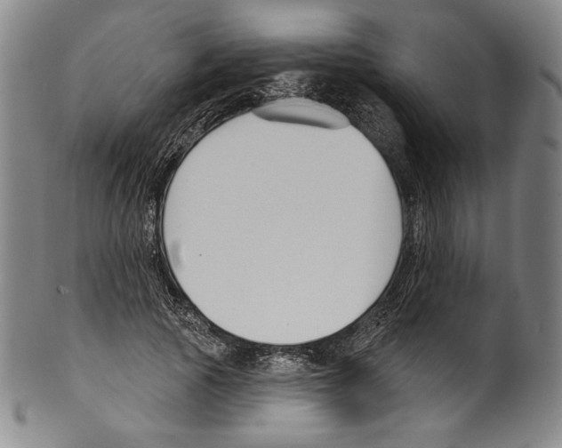 X0000099440737200806061043