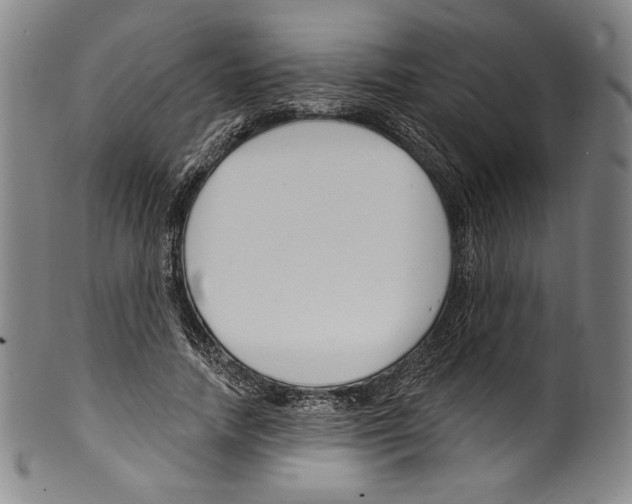 X0000099440738200806061043