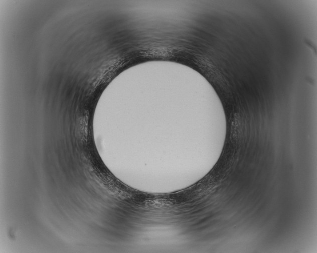 X0000099440739200806061043