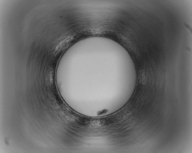 X0000099440740200806061043