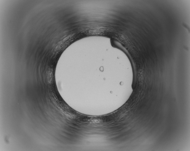 X0000099440741200806061043