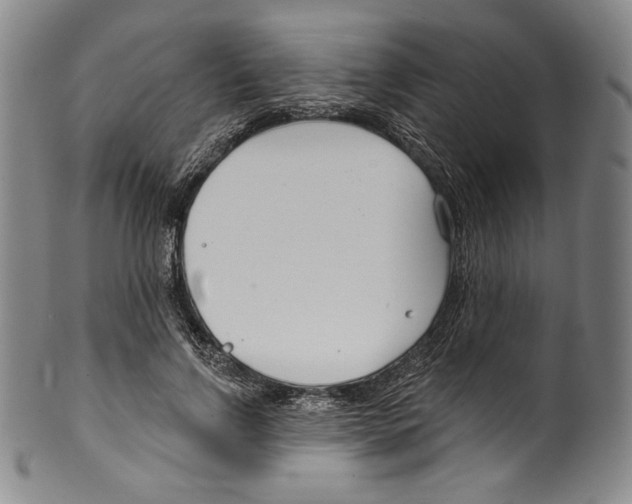 X0000099440742200806061043