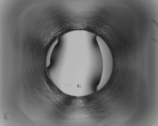 X0000099440743200806061043