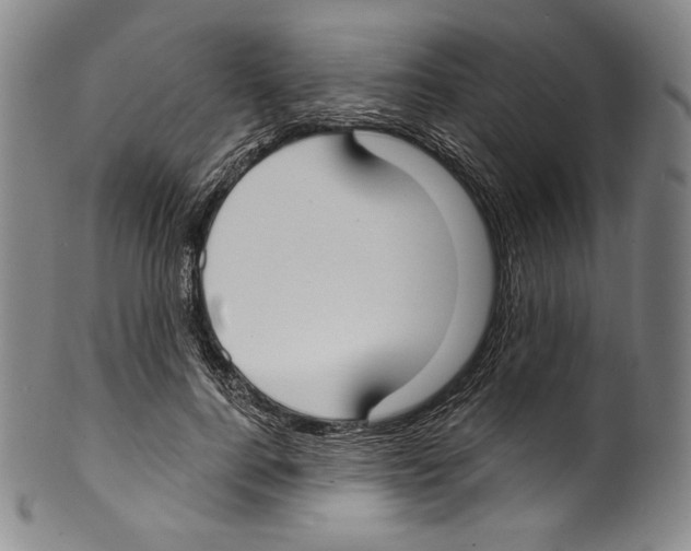 X0000099440744200806061043