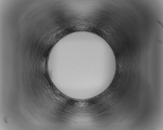 X0000099440745200806061043