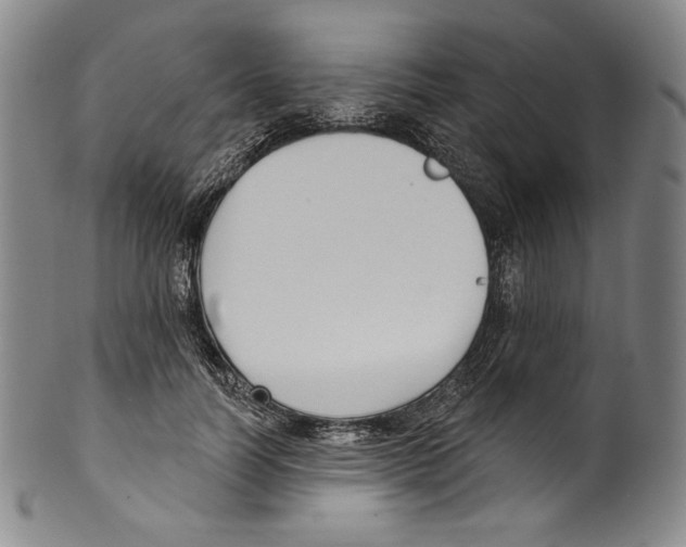 X0000099440746200806061043