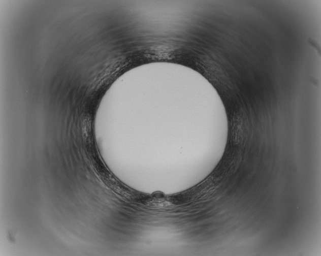 X0000099440747200806061043