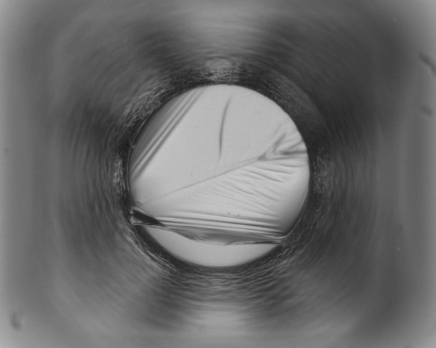 X0000099440748200806061043