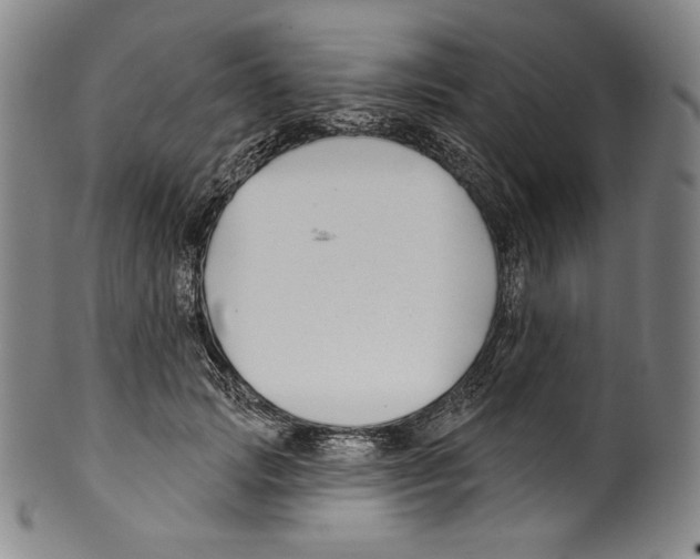 X0000099440749200806061043