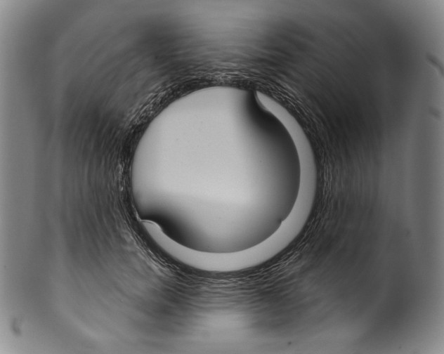 X0000099440750200806061043