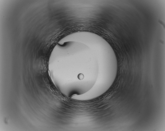 X0000099440751200806061043