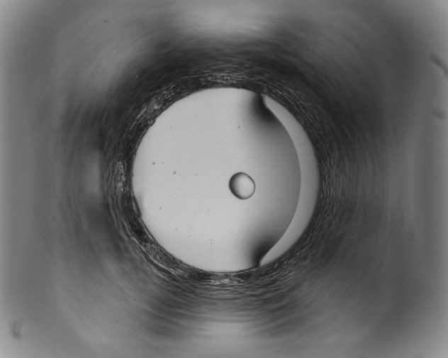 X0000099440752200806061043