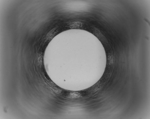 X0000099440753200806061043