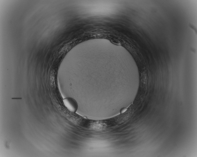 X0000099440754200806061043