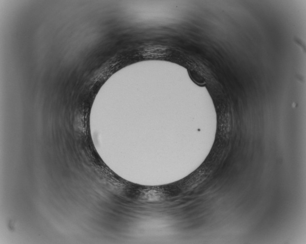 X0000099440755200806061043