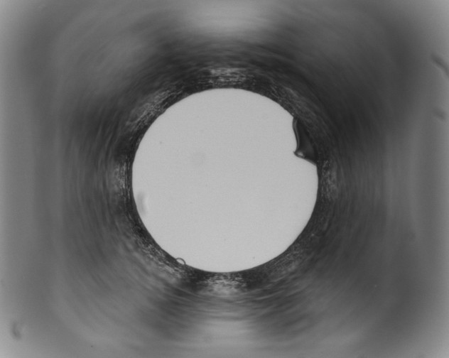 X0000099440756200806061043