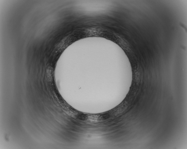 X0000099440757200806061044