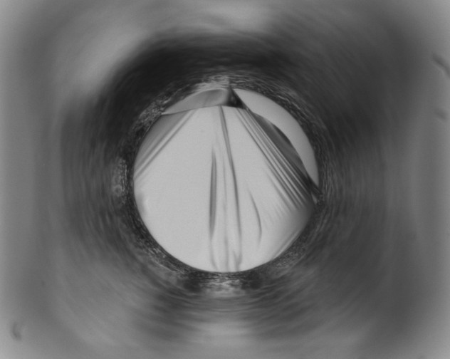 X0000099440760200806061044