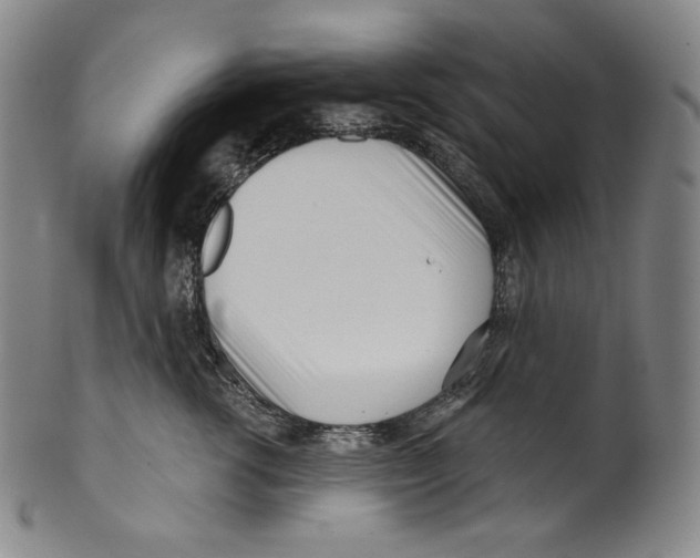 X0000099440762200806061044