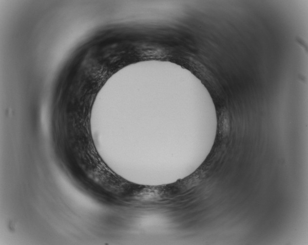 X0000099440764200806061044