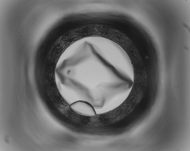 X0000099440766200806061044