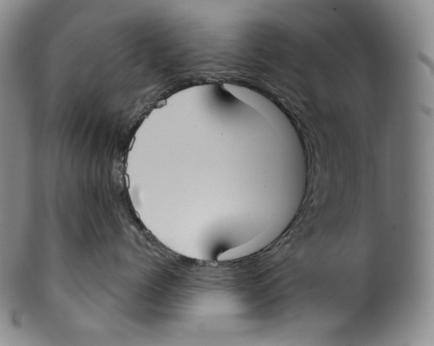 X0000099440768200806061044