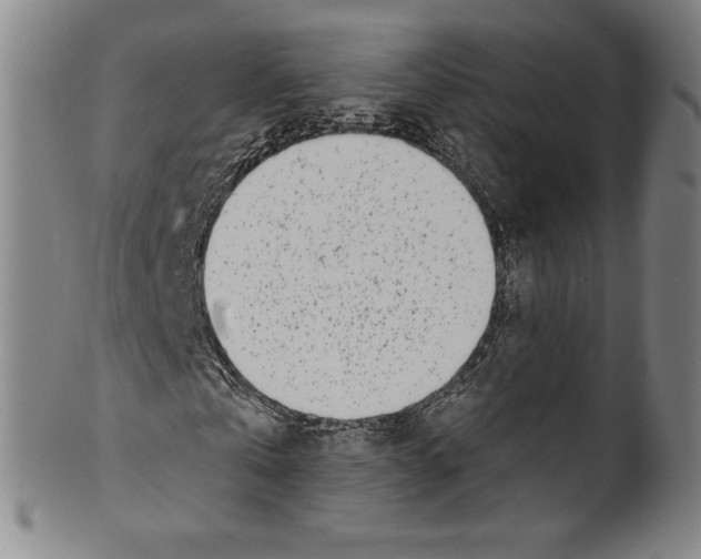 X0000099440769200806061043