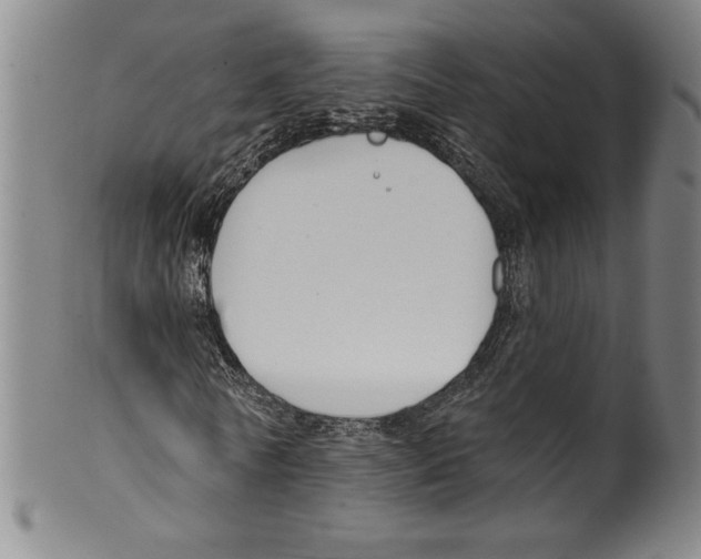 X0000099440770200806061043