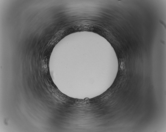 X0000099440771200806061043