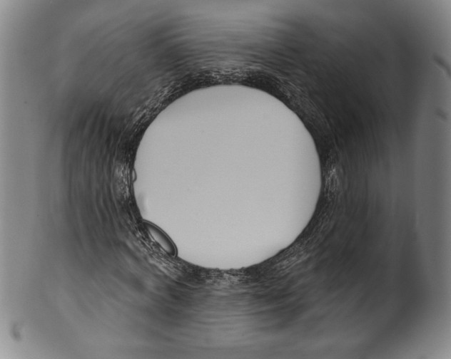 X0000099440772200806061043