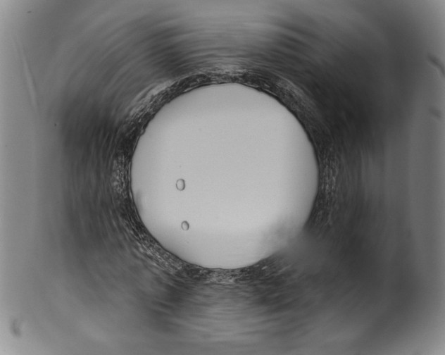 X0000099440773200806061043