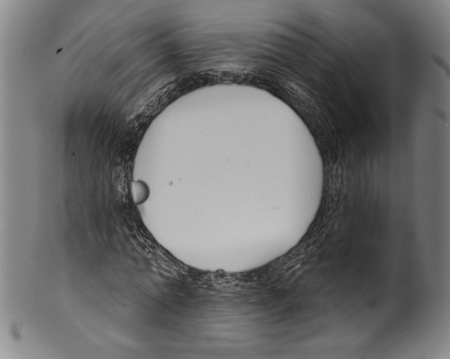 X0000099440774200806061043