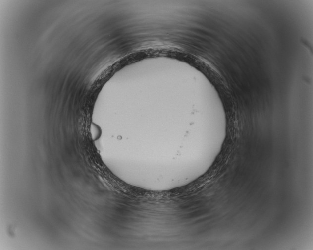 X0000099440775200806061043