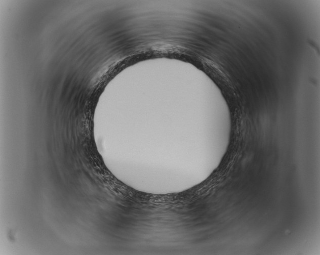 X0000099440776200806061043