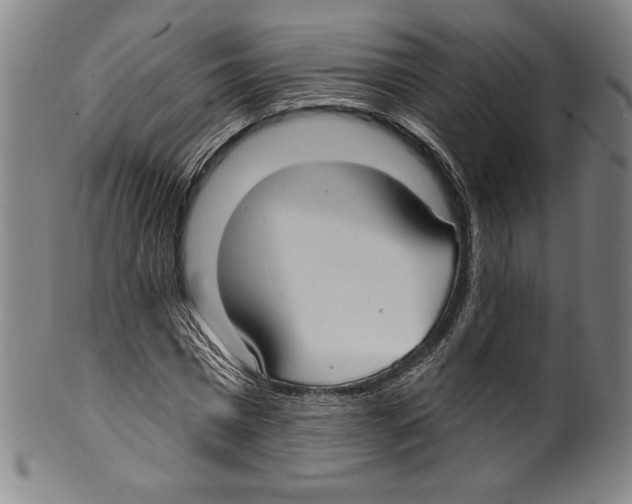 X0000099440777200806061043