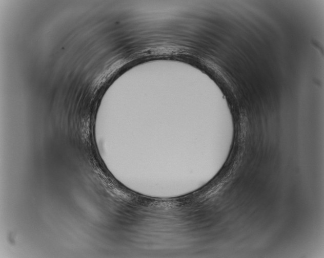 X0000099440778200806061043