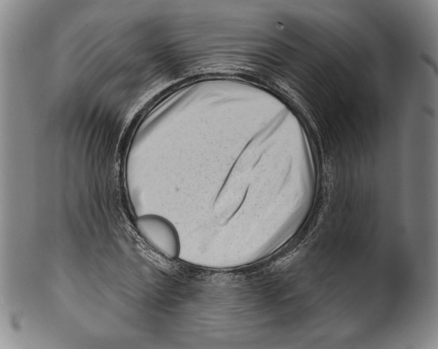 X0000099440779200806061043