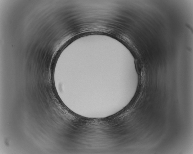 X0000099440780200806061043