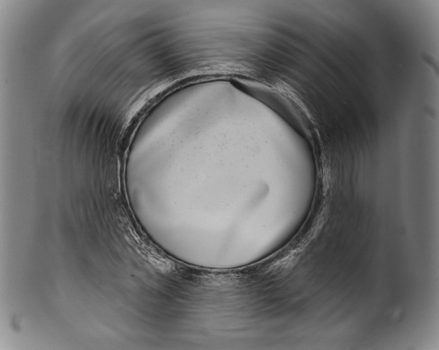 X0000099440781200806061043