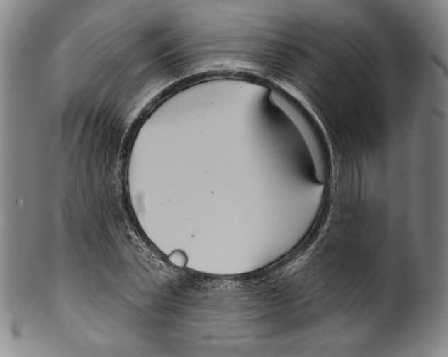 X0000099440783200806061043