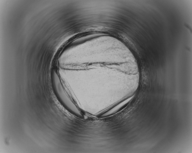 X0000099440784200806061043