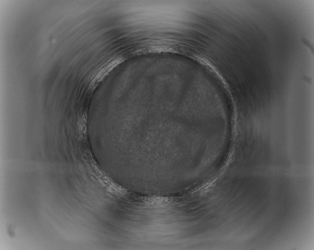 X0000099440785200806061043