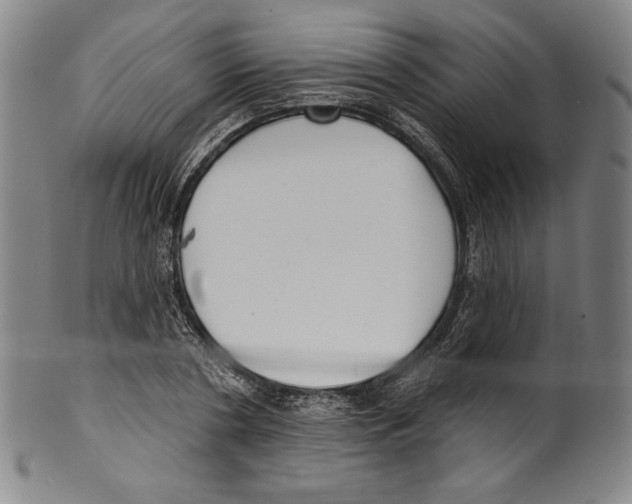 X0000099440786200806061043