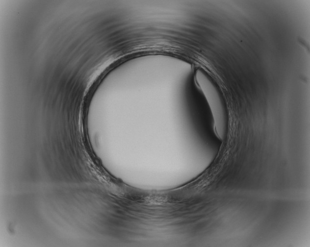 X0000099440788200806061043