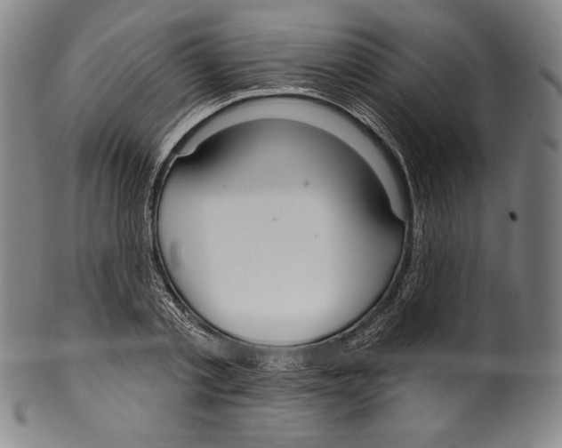 X0000099440789200806061043