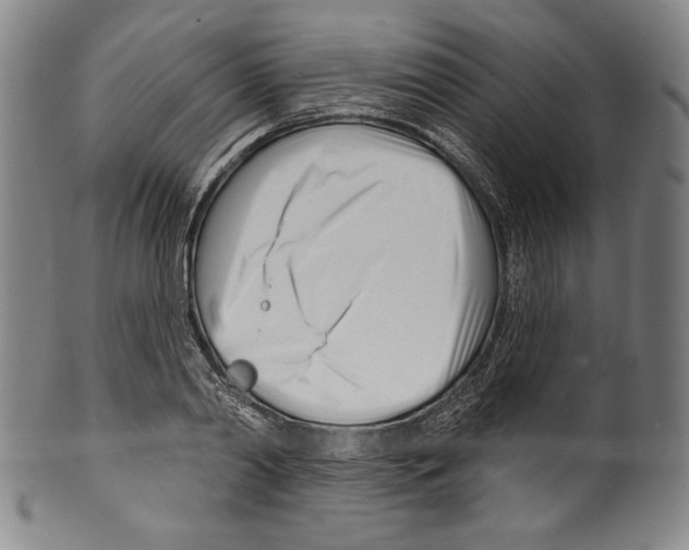 X0000099440790200806061043