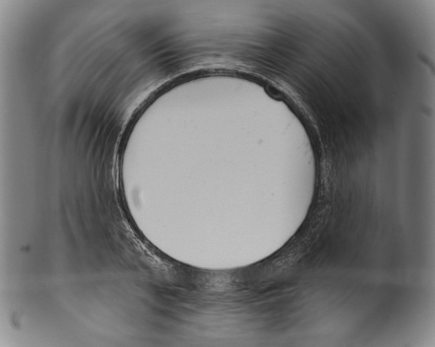 X0000099440791200806061043