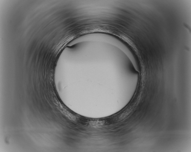 X0000099440793200806061042