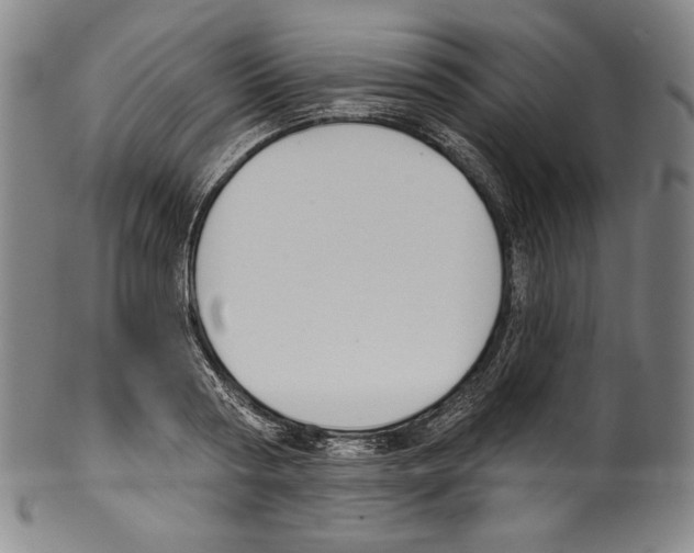 X0000099440794200806061042