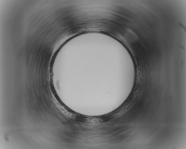 X0000099440795200806061042